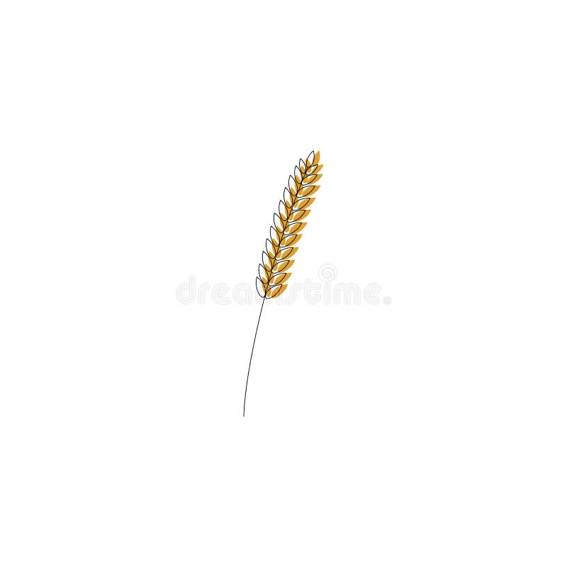 Ilustração do vetor do trigo, as orelhas do centeio ou da cevada com grão inteira, o símbolo da colheita ou o ícone isolado no fu ilustração royalty free Ilustração do vetor do trigo, as orelhas do centeio ou da cevada com grão inteira, o símbolo da colheita ou o ícone isolado no fu ilustração royalty free
