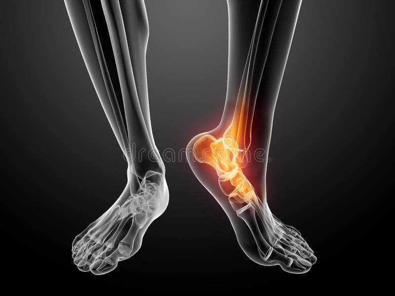 3d rendered illustration of a transparency human foot with highlighted ankle. 3d rendered illustration of a transparency human foot with highlighted ankle
