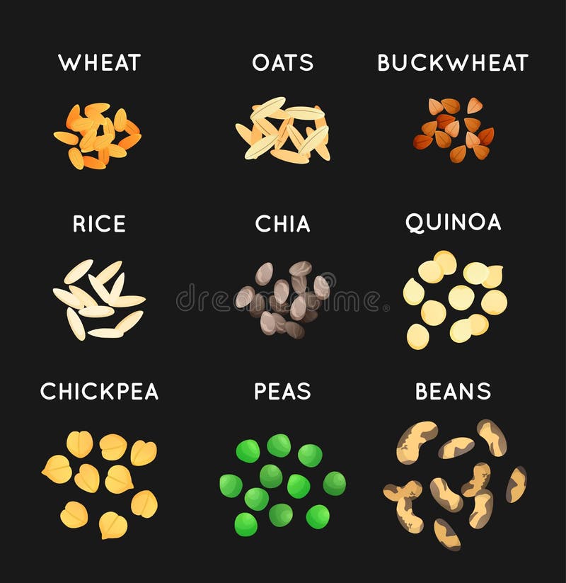 Ilustração dos cereais Trigo, aveia e arroz, trigo mourisco e ervilha, e grão-de-bico Sementes de Chia ilustração stock Ilustração dos cereais Trigo, aveia e arroz, trigo mourisco e ervilha, e grão-de-bico Sementes de Chia ilustração stock