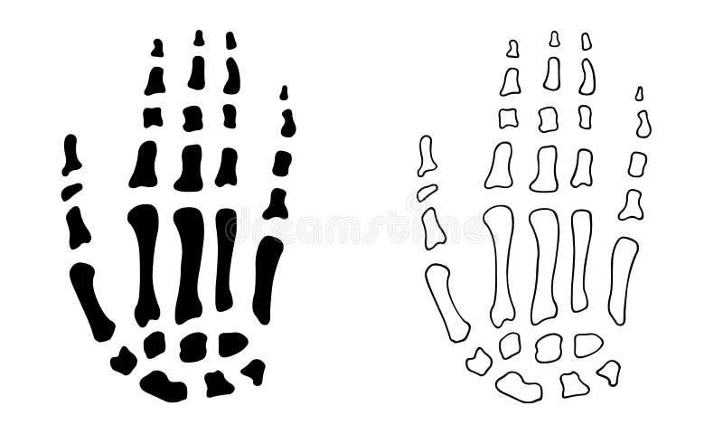 Ilustração de ossos da mão ilustração royalty free
