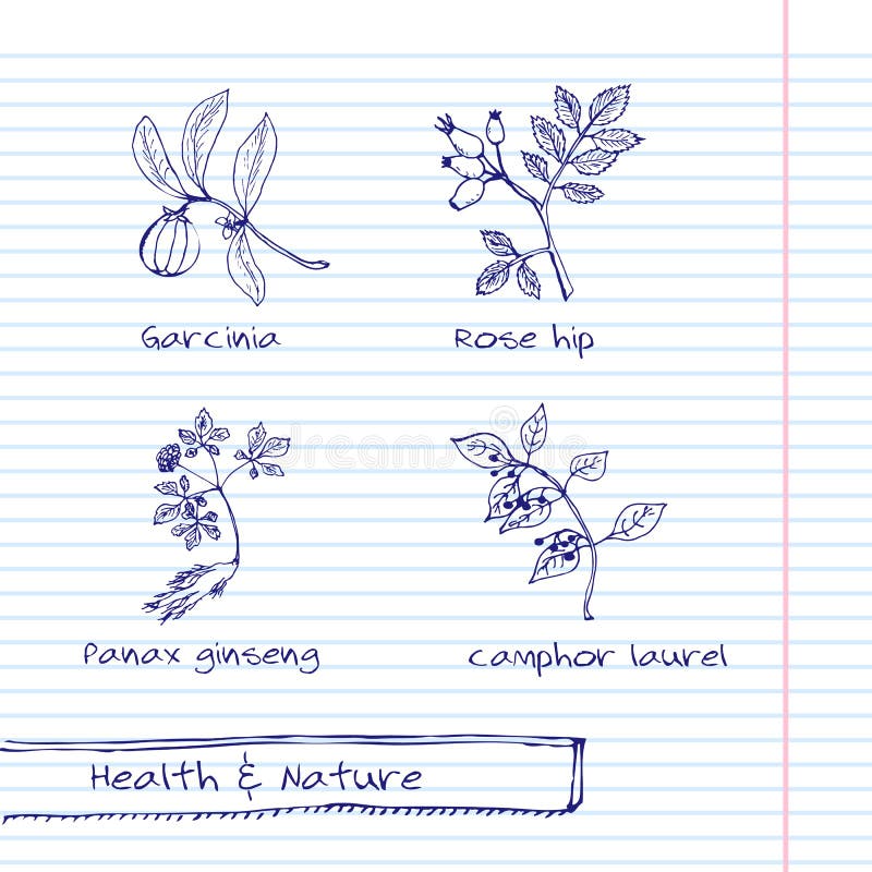 Ilustração Handdrawn - grupo da saúde e da natureza ilustração do vetor