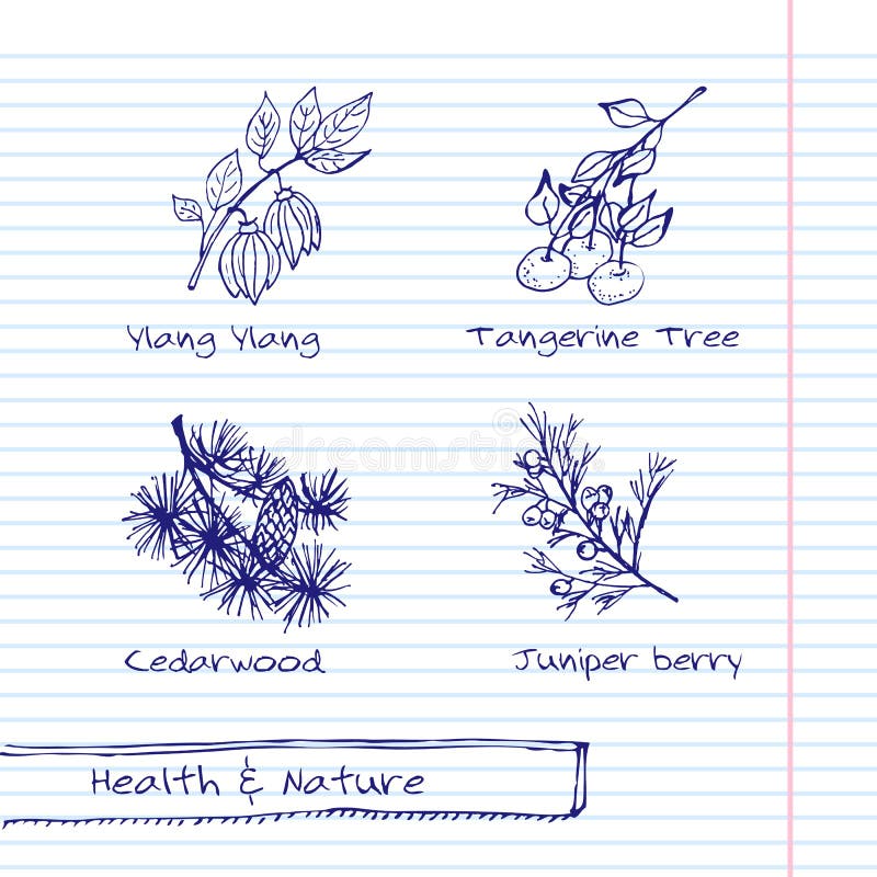 Ilustração Handdrawn - grupo da saúde e da natureza ilustração stock