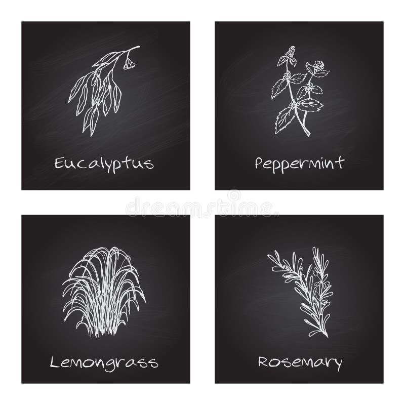 Ilustração Handdrawn - grupo da saúde e da natureza ilustração royalty free