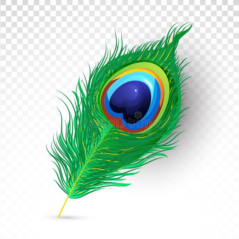 Ilustração Realista E Bonita Da Pena De Pavão Sobre Fundo Transparente
