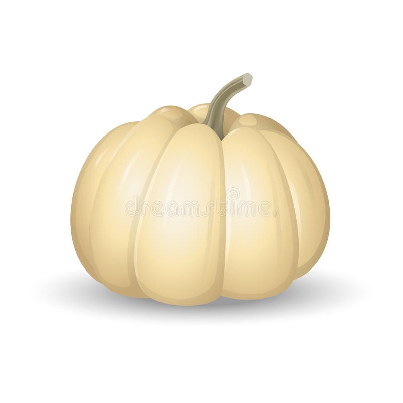Ilustrație cu un element de desen cu dovleac alb, izolat pe fond alb royalty free illustration