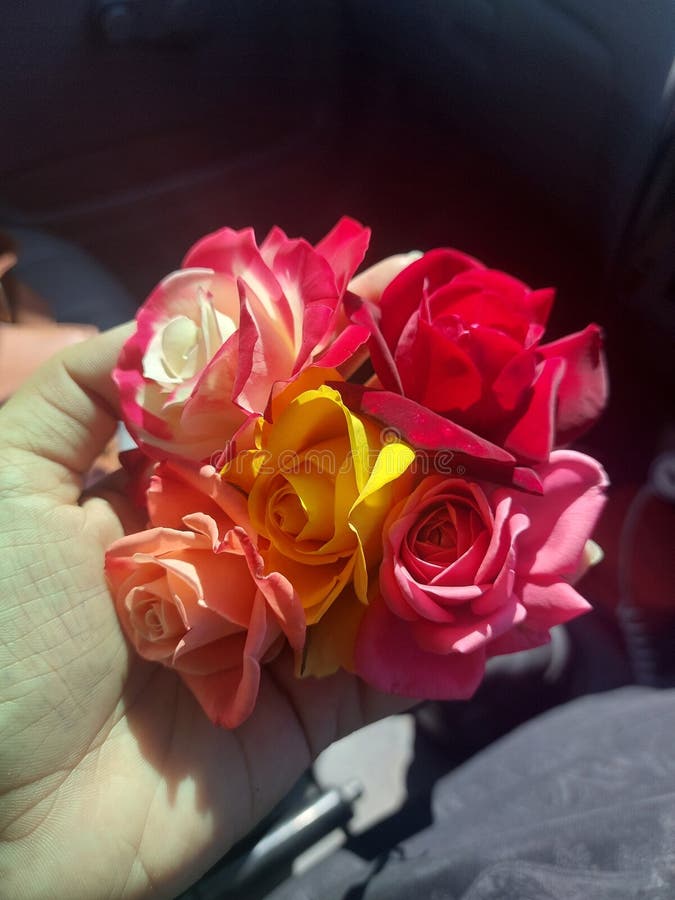 Im flower... fotografie stock libere da diritti