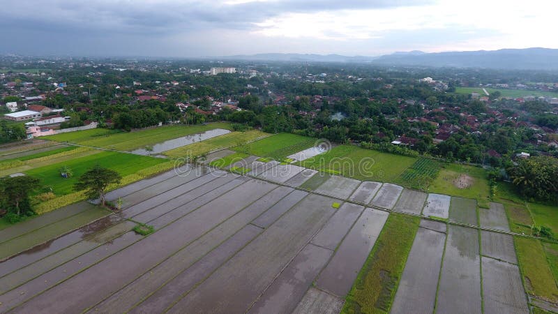 Image of Beautiful Terraced Rice Field in Water Season and Irrigation 