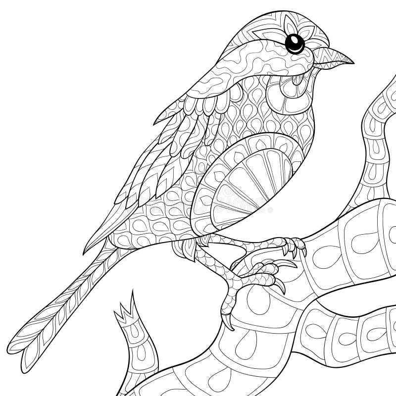 Adult Coloring Page,book a Bird Image for Relaxing. Stock Vector ...