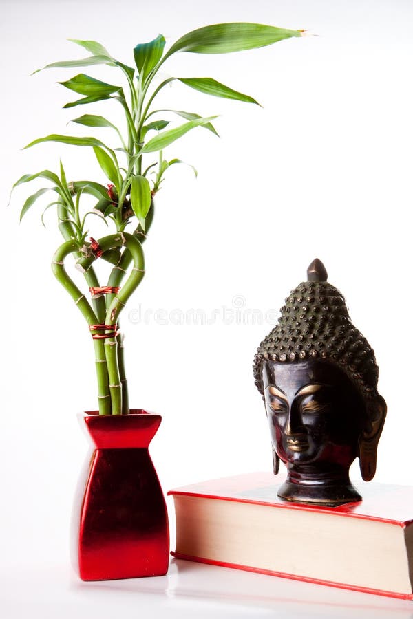 Image of Buddha and Bamboo stock images