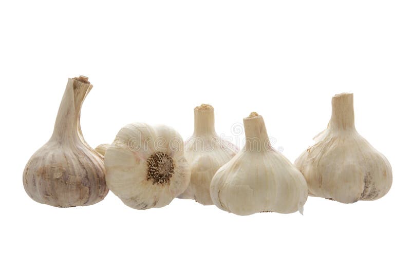 Bunch of Garlic on a White Background Stock Photo - Image of isolated