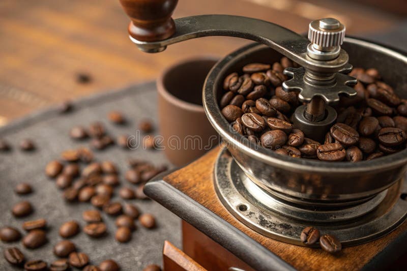 A close-up of a coffee bean stock illustration