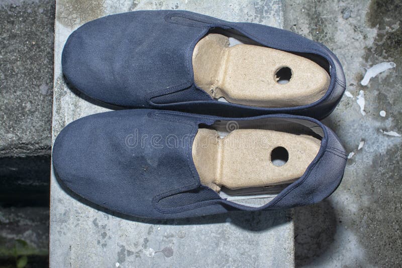 Cardboard Shoe Tree or Insert Accessory Stock Photo Image of design, maker 237591840