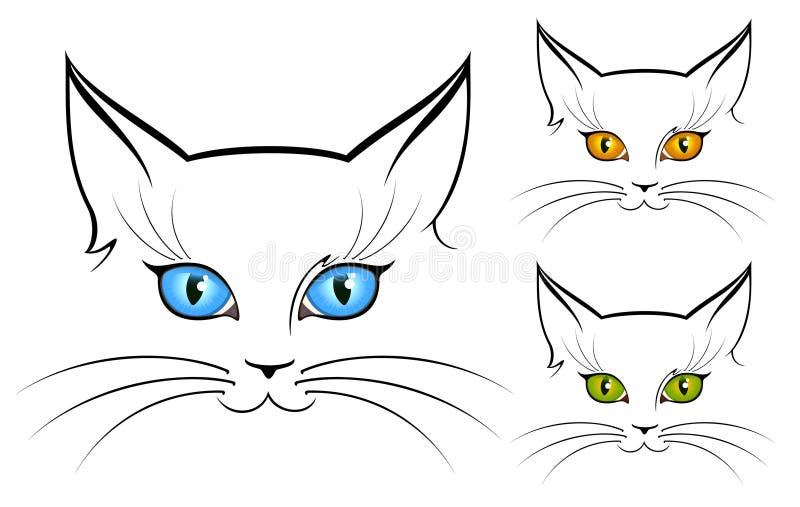 Image of cat eyes