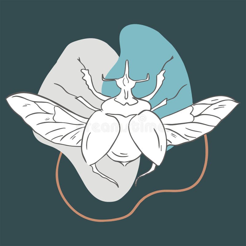 Image contour beetle with wings royalty free illustration