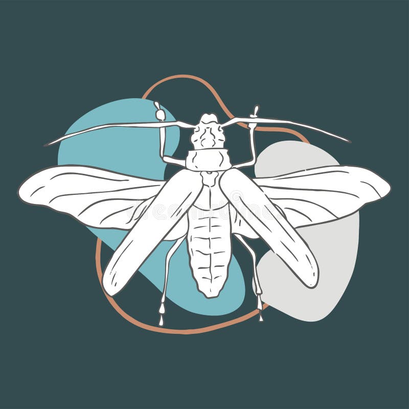Image contour beetle with wings stock illustration