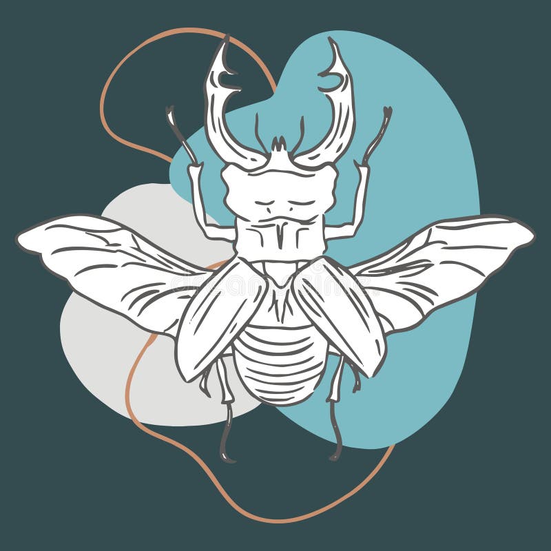 Image contour beetle with wings vector illustration