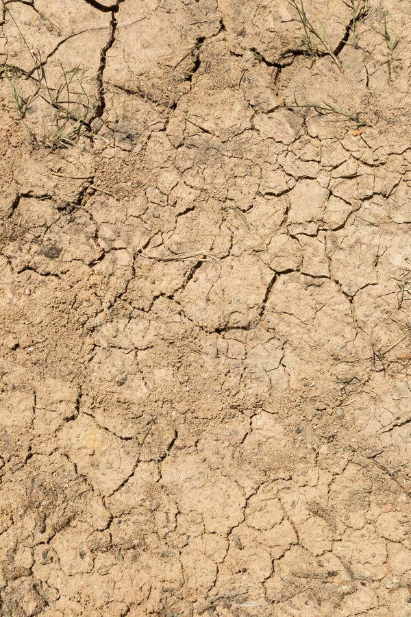 An image of a cracked earth. During drought the land. Suitable for background in a horizontal frame