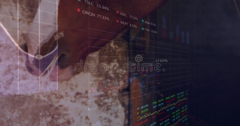 Image of data processing over horse royalty free stock image