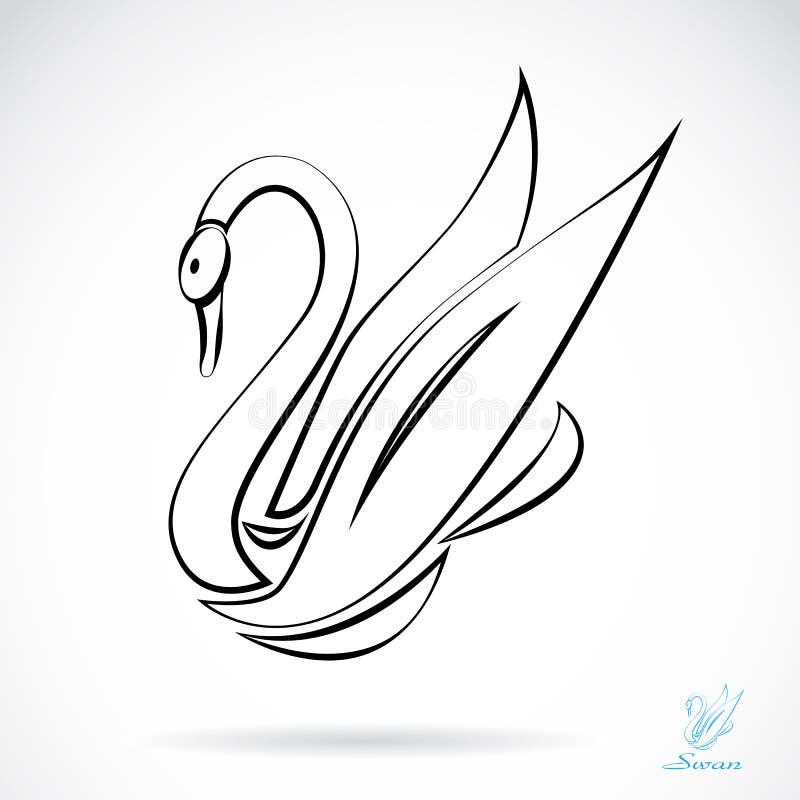 Image de vecteur de cygnes illustration de vecteur. Illustration du