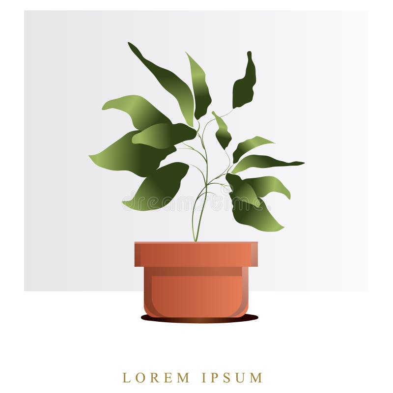 Image de vecteur des fleurs et des plantes dans des pots, ikebana illustration de vecteur Image de vecteur des fleurs et des plantes dans des pots, ikebana illustration de vecteur