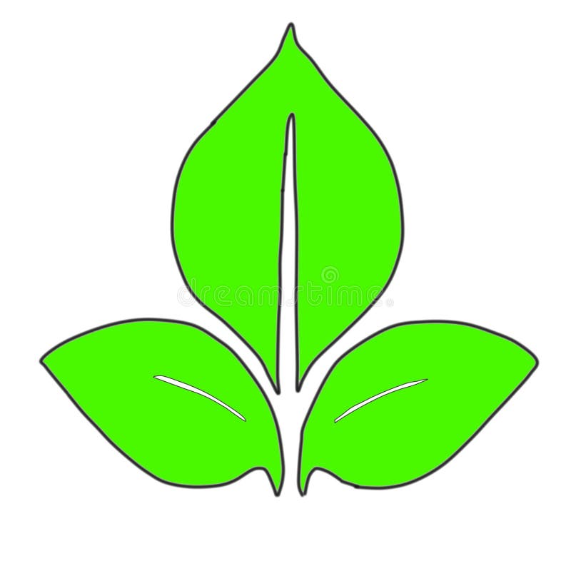 The image displays a stylized clip art of three vibrant green leaves with a thin, dark green outline royalty free illustration