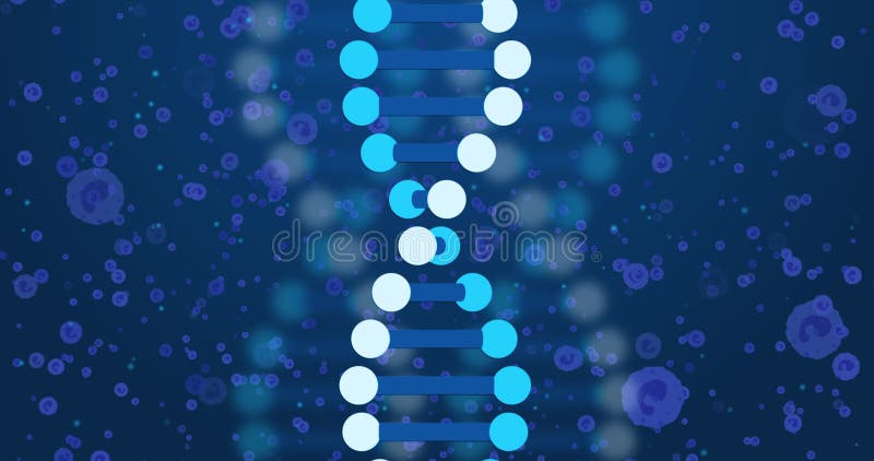 Image of dna over blue cells on navy background. Human biology, anatomy and body concept digitally generated image. Code division stock images, royalty-free photos and pictures