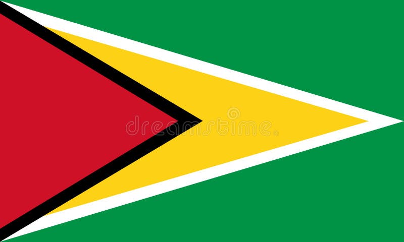 Image of the flag of Guyana vector illustration