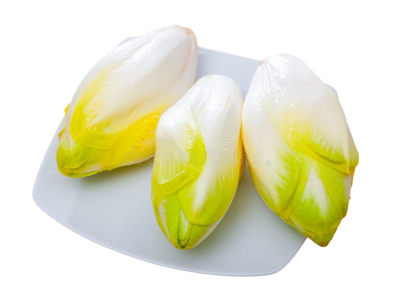 Image of fresh raw endive stock image. Image of organic 198888911