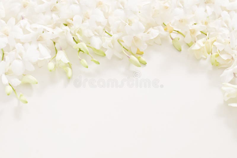 28,496 Funeral Background Stock Photos - Free & Royalty-Free Stock Photos  from Dreamstime