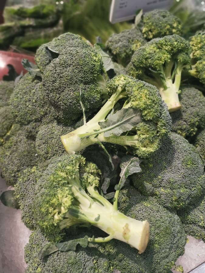 Green Cauliflower is a Hybrid of Broccoli and Cauliflower. Stock Photo