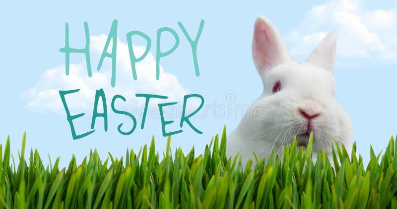 Image of happy easter, white bunny and grass vector illustration