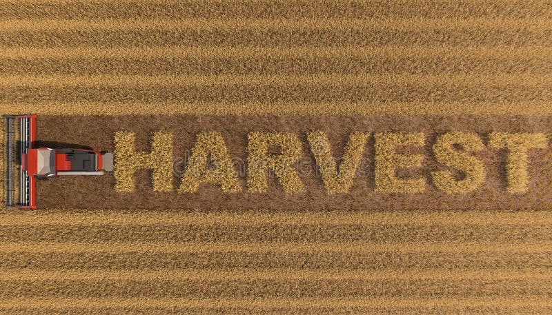 The Word Harvest With Illustrations Of Fruit And Vegetables Stock the-word-harvest-with-illustrations-of-fruit-and-vegetables-stock