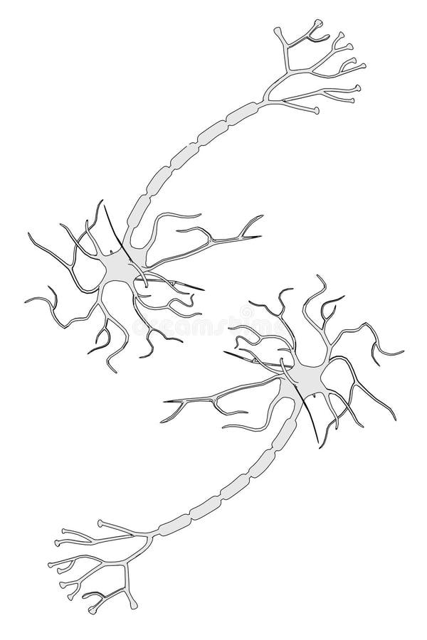 Neuron Cartoon Stock Illustrations – 748 Neuron Cartoon Stock  Illustrations, Vectors & Clipart - Dreamstime