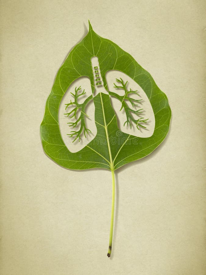 Image of Lungl Plant Punched into Green Leaf, Lungs Silhouette, Save