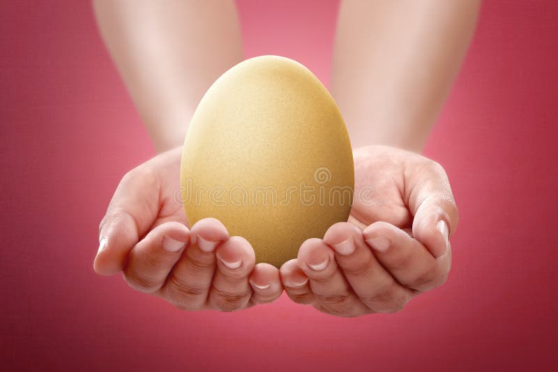 Image of people hand hold plain egg stock images