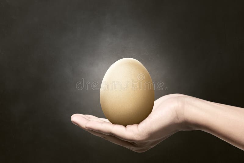 Image of people hand hold plain egg royalty free stock images