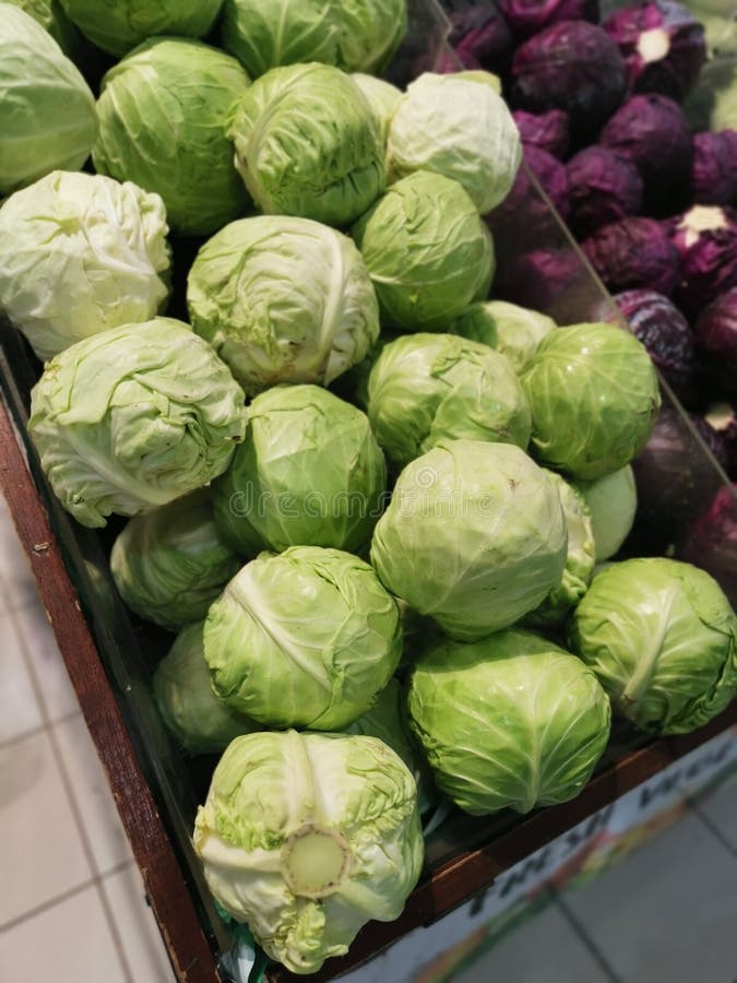 Pile of Fresh Cabbages Vegetable. Stock Photo Image of head, garden