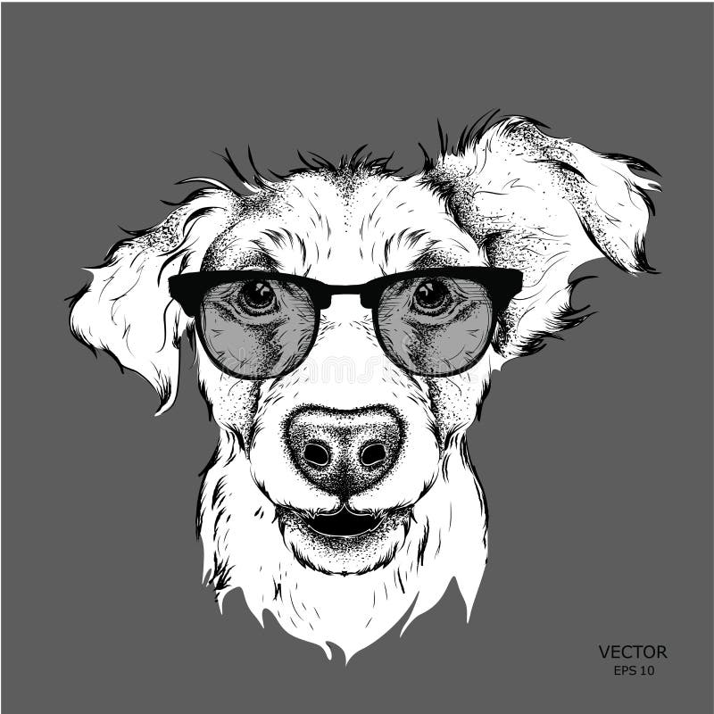 Image Portrait Bulldog in the Cravat and with Glasses. Vector ...