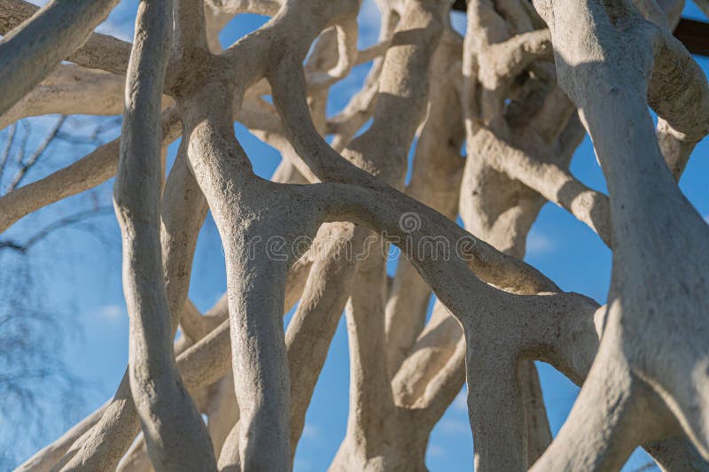 Image portrays a nature-inspired design resembling tree roots, featuring realistic textures and muted grayscale colors stock photos