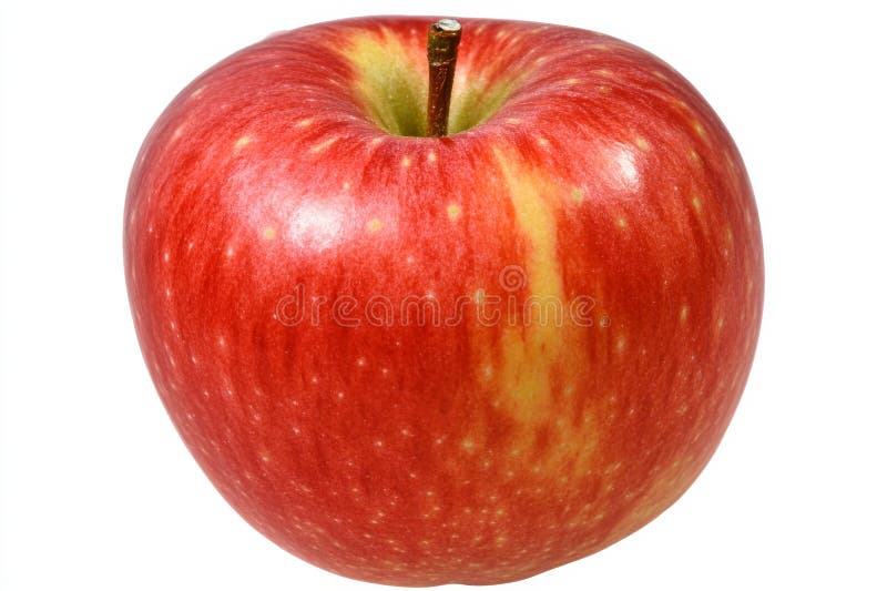 An image of a red apple with a transparent background. royalty free stock images