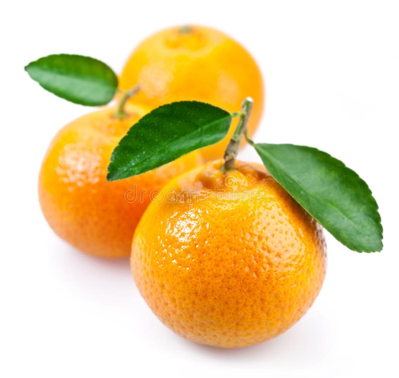 Image of a ripe tangerine with leaves