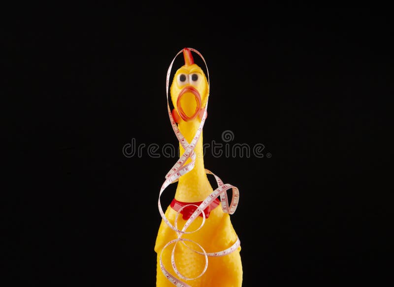 Image of Rubber Chicken Dark Background Stock Image Image of industry
