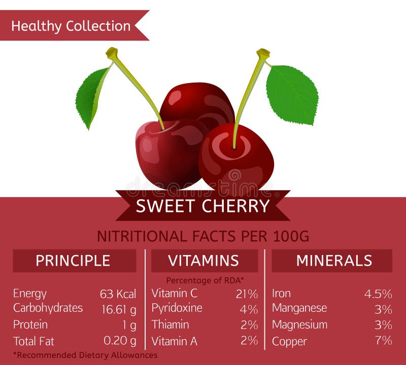 Image saine de collection illustration de vecteur. Illustration du