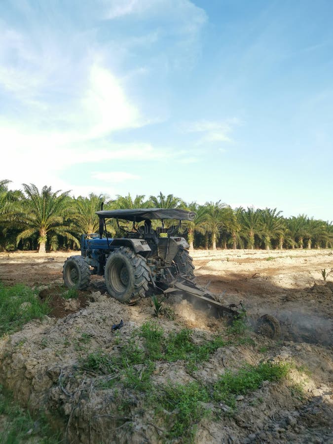 Scene of the Tractor Plowing the Vacant Agriculture Land. Stock Photo
