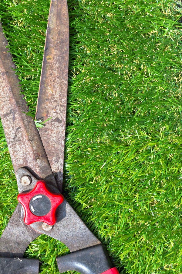 Scissors on grass royalty free stock photography