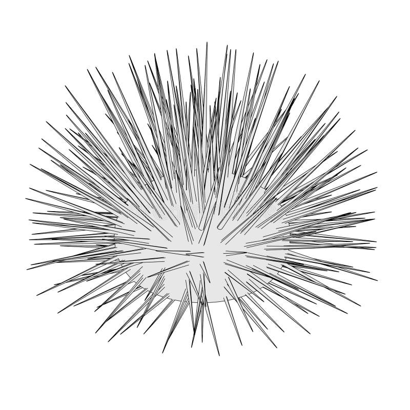 How To Draw A Sea Urchin Step By Step