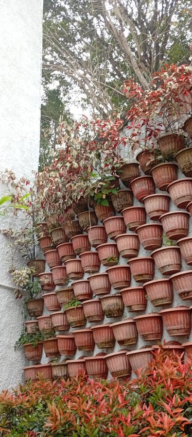 This image shows a vertical garden created by arranging numerous brown flower pots in a grid pattern on a wall royalty free stock image