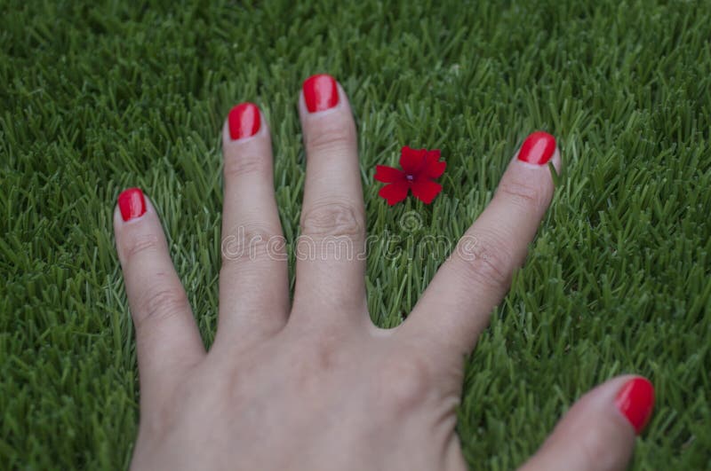 England Garden Red Stock Photos Download 6 731 Royalty Free Photos