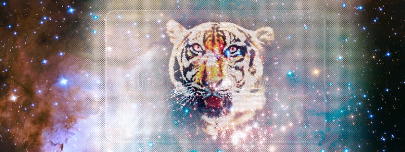 galaxy tiger tumblr