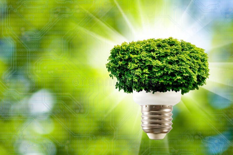 Image of Tree in a Light Bulb on a Green Background Closeup Stock Photo Image of earth, green